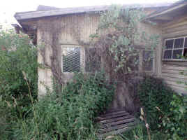 picture 60 Kb